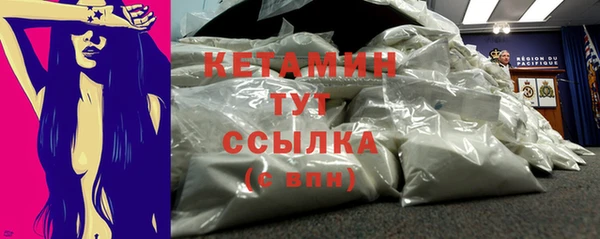 apvp Вяземский