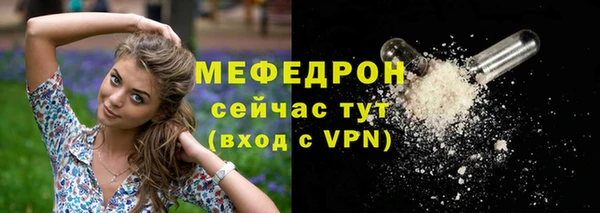 apvp Вяземский