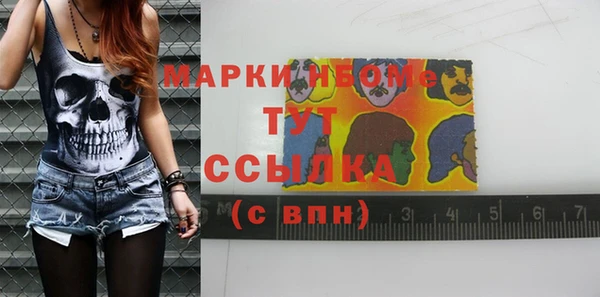 прущие грибы Горняк