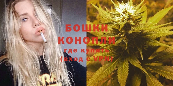прущие грибы Горняк