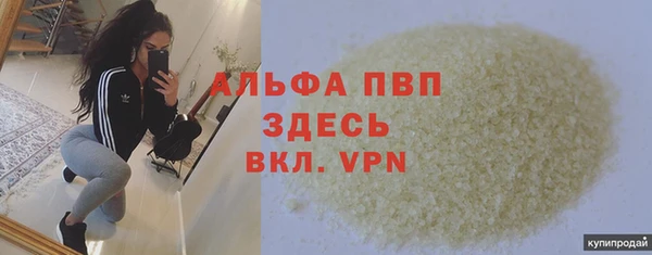 apvp Вяземский