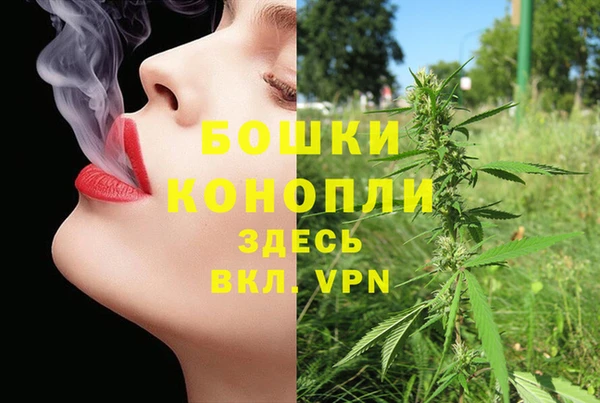 ГАЛЛЮЦИНОГЕННЫЕ ГРИБЫ Вязники