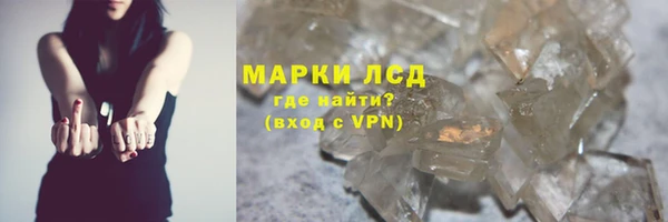 ГАЛЛЮЦИНОГЕННЫЕ ГРИБЫ Вязники
