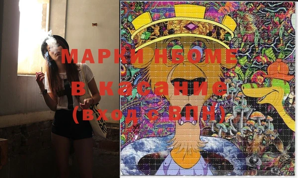 прущие грибы Горняк