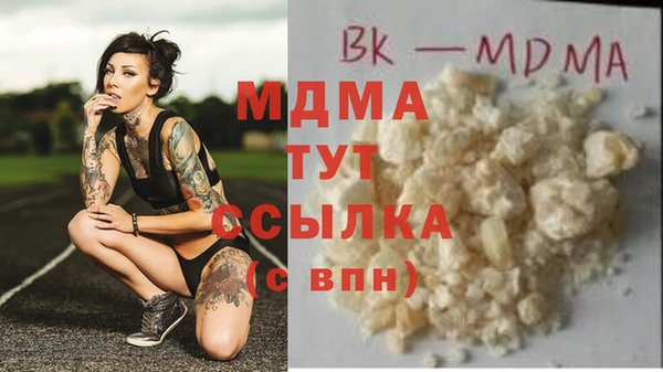 прущие грибы Горняк