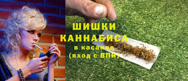 прущие грибы Горняк