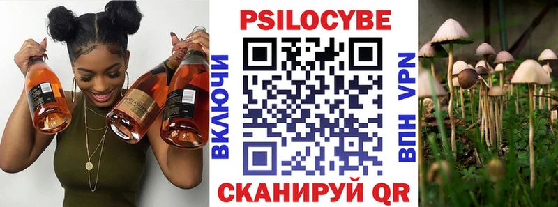 кракен как зайти  Мценск  Галлюциногенные грибы ЛСД 