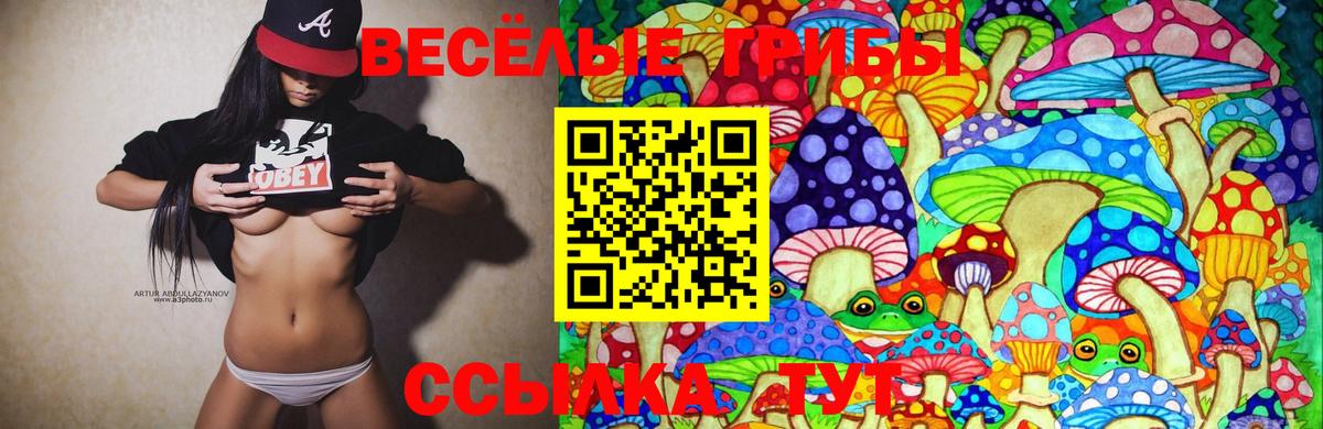 Псилоцибиновые грибы Psilocybe Мценск