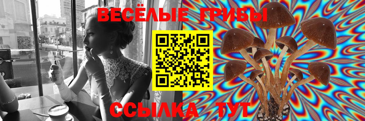 Галлюциногенные грибы ЛСД  сколько стоит  Мценск  Вход с VPN 