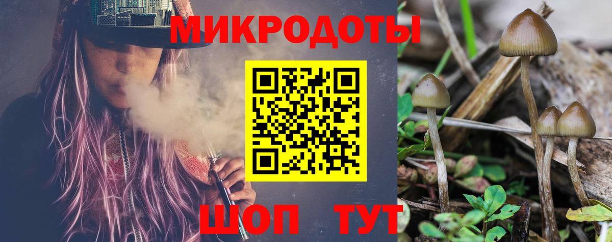 Галлюциногенные грибы Psilocybine cubensis  Мценск  Галлюциногенные грибы Psilocybe 