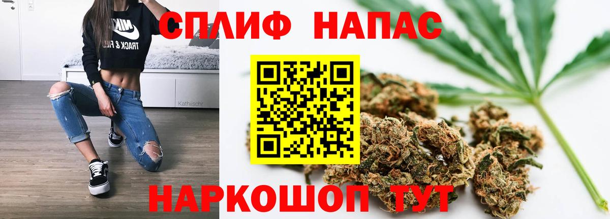 Марихуана сатива Мценск